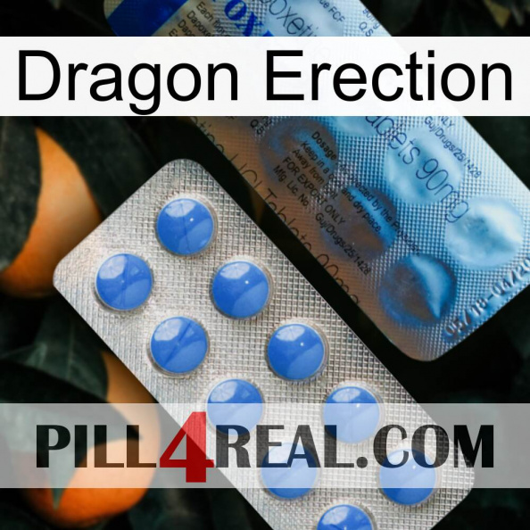 Dragon Erection 40.jpg